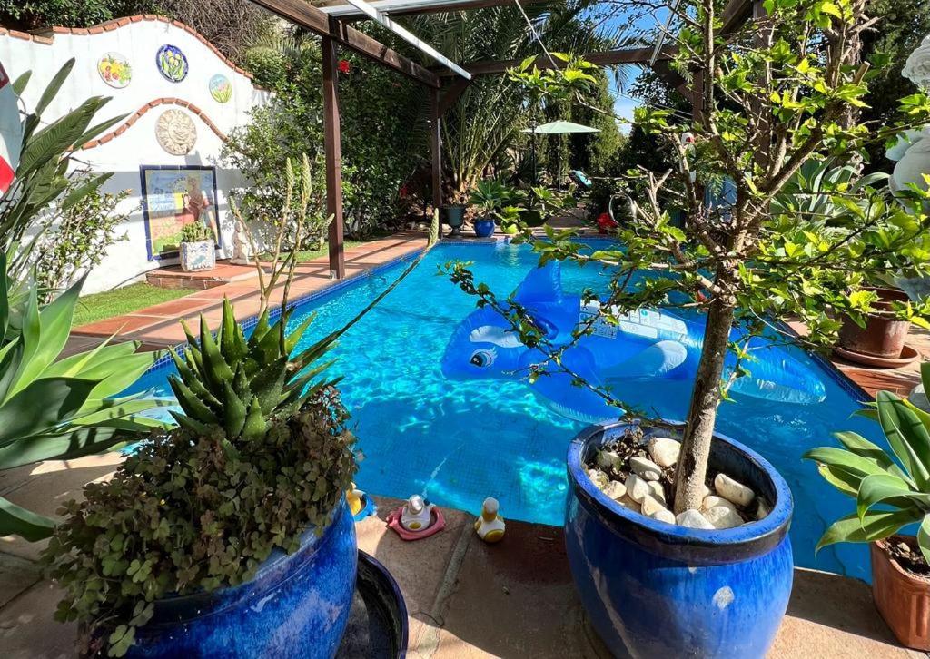 Mijas Pueblo Paradise Villa مالقة المظهر الخارجي الصورة
